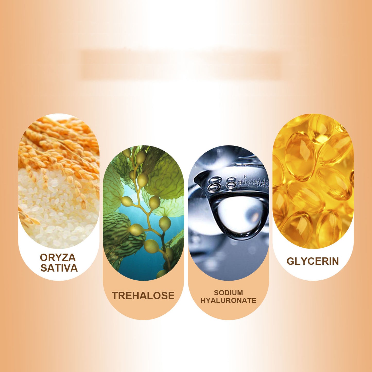 DS Rice Moisturizing